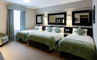 Hotelsincalabar