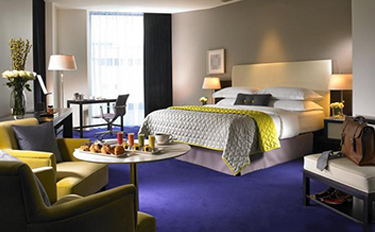 Hotelsincalabar